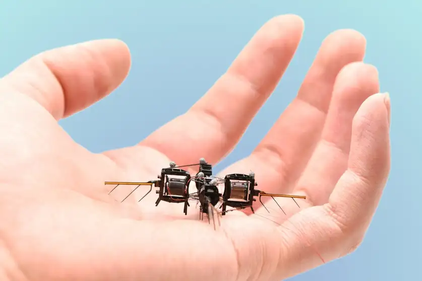 Robotic Insects: The Future of Pollination