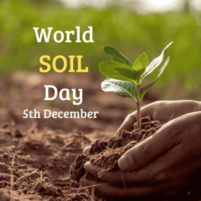 World Soil Day 2024